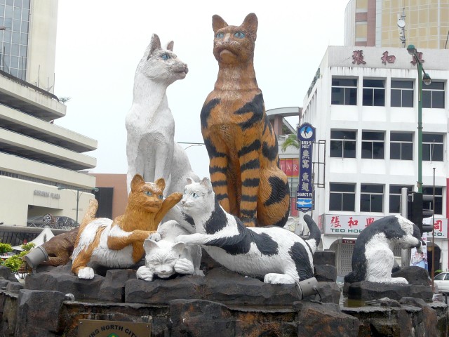 cats near Holiday Inn